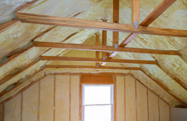 Best Types of Insulation in Wedgefield, FL