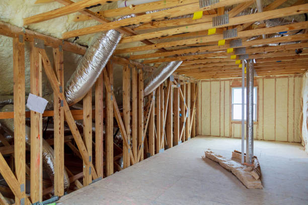 Best Insulation Maintenance and Repair in Wedgefield, FL