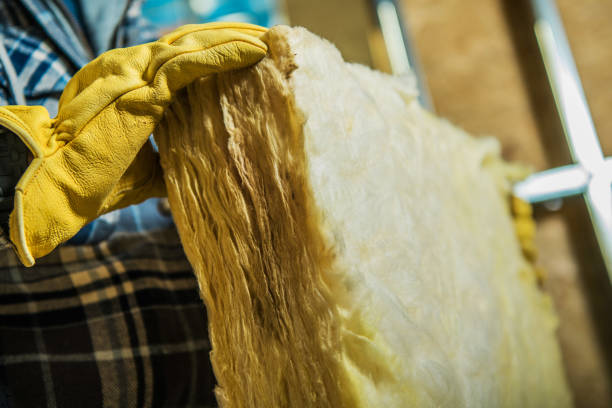 Best Insulation Maintenance and Repair in Wedgefield, FL